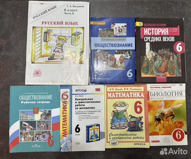 Учебные пособия, рабочие тетради за 6 класс