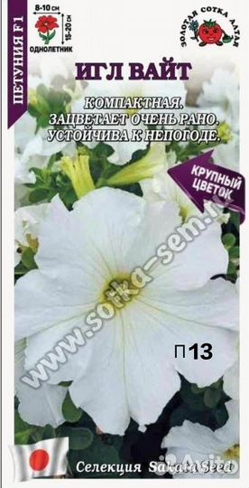 Цветы1. Рассада