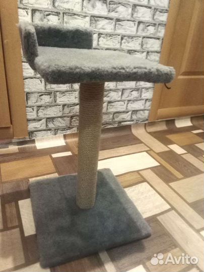 Когтеточка