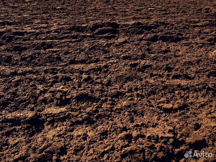 Грунт для газона