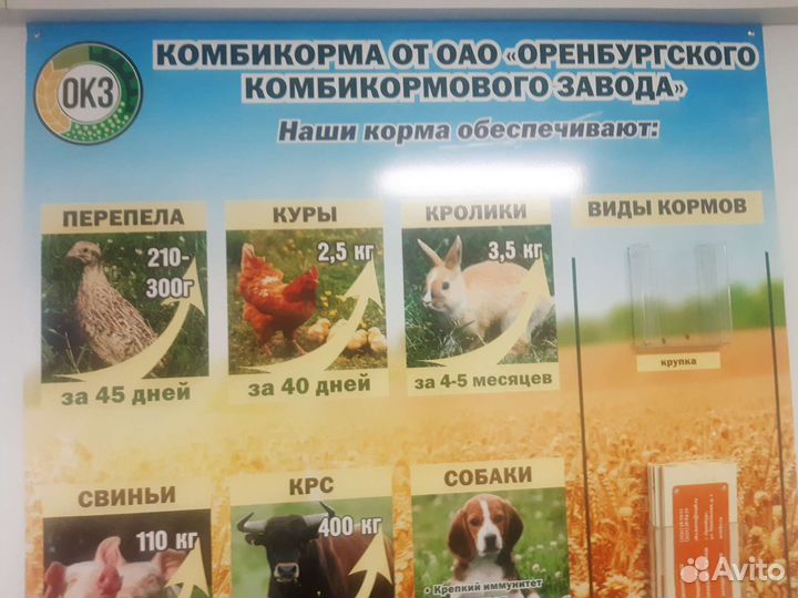 Комбикорм оренбургский
