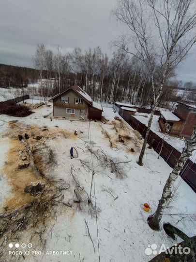 Спил деревьев г. Сергиев Посад