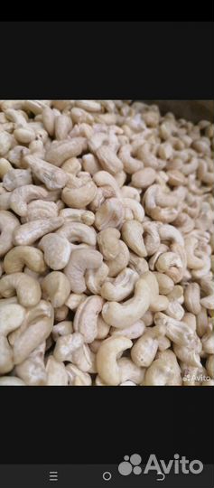 Кешью Свежий оптом