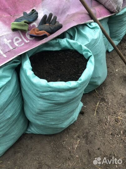 Перегной (Навоз)