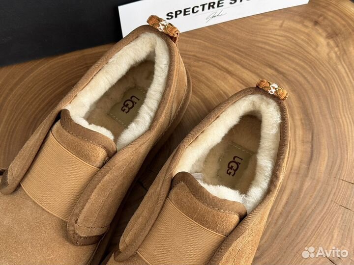 Угги Мужские Ugg Slippers Flex Chestnut