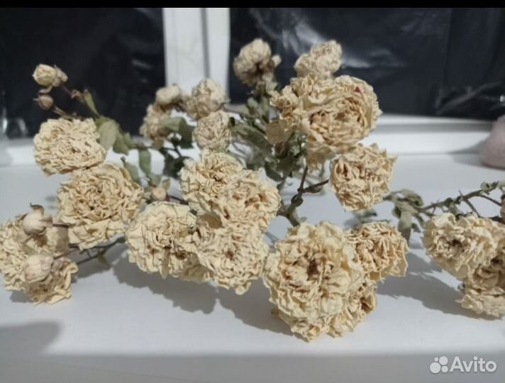 Розы сухие для творчества