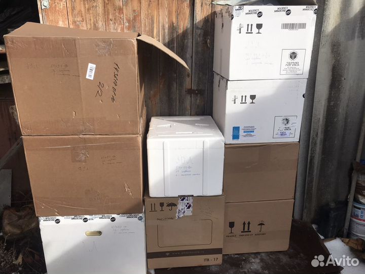 Термоконтейнер из пенопласта