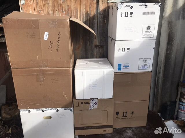 Термоконтейнер из пенопласта