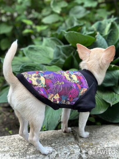 Футболка для собак