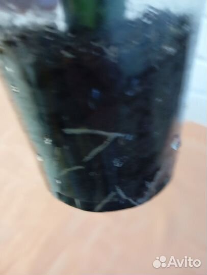 Домашние растения