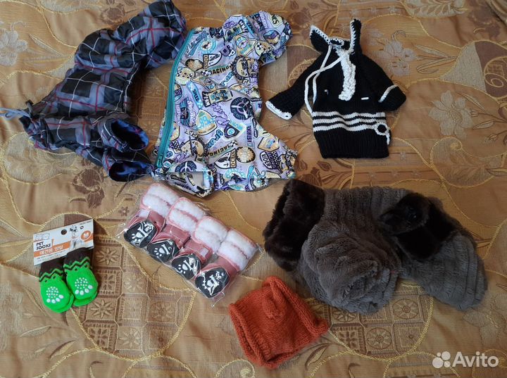 Одежда и обувь для маленьких собак