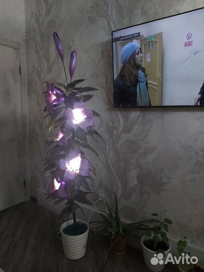 Цветок, лампа, светильник, торшер