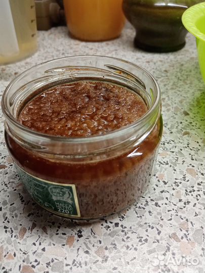 Квасной гриб