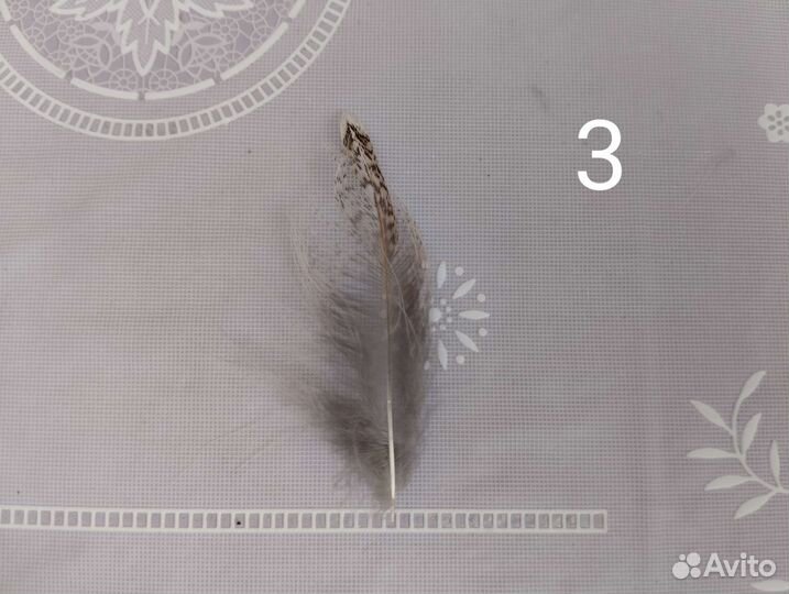 Перья для вязания мух