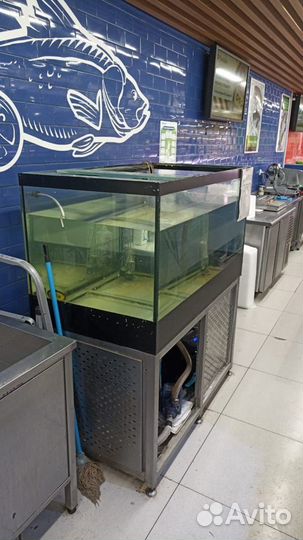 Аквариум для продажи рыбы 1200