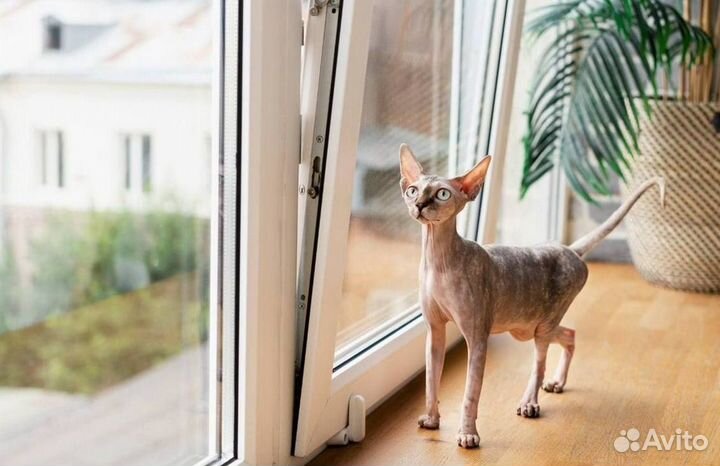 Окна пластиковые