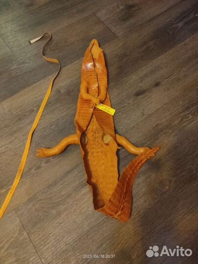 Кожа крокодила шкура