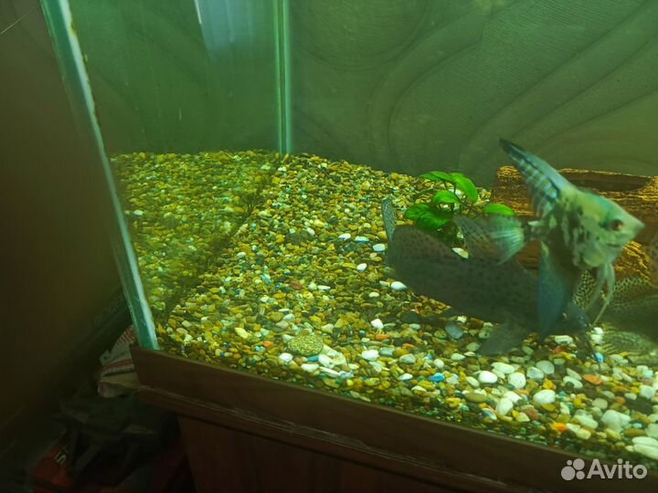 Украшение для аквариума