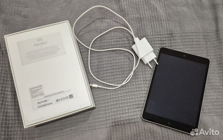 iPad mini 2