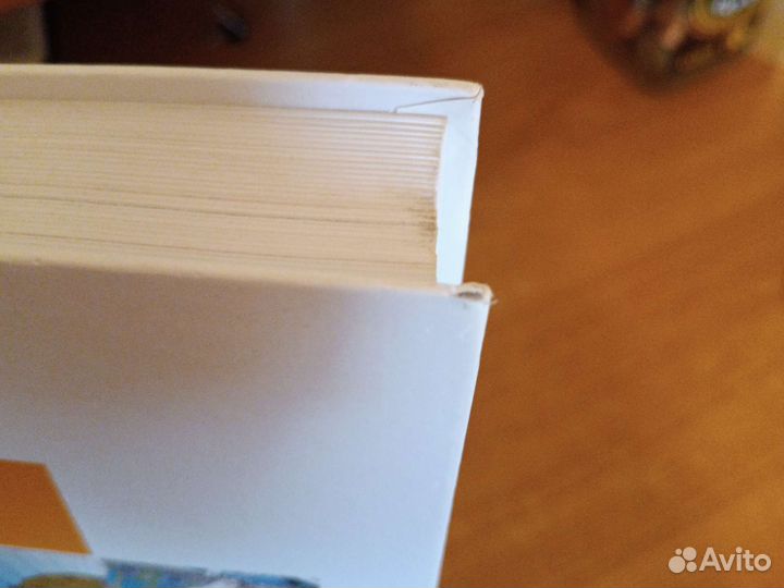 Большая иллюстрированная энциклопедия эрудита