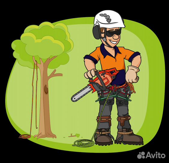 Спил деревьев