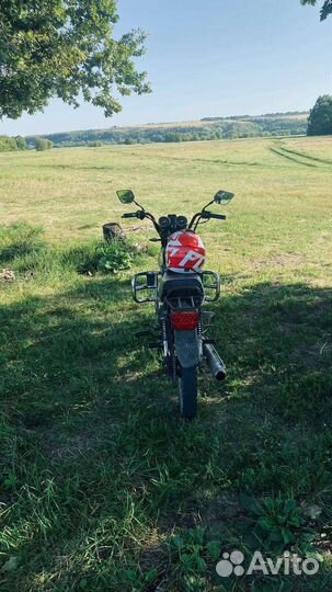 Gryphon orion 125