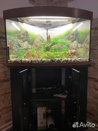 Аквариум с тумбой