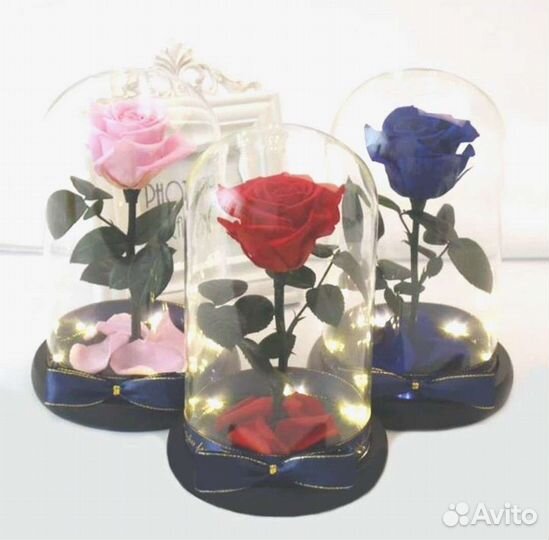 Роза в колбе. Неувядающая