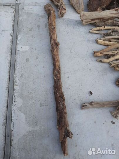 Коряги для интерьера