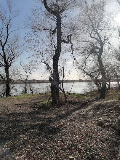 Участок 9,6 сот. (СНТ, ДНП)