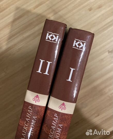 Людовик XIV и его век