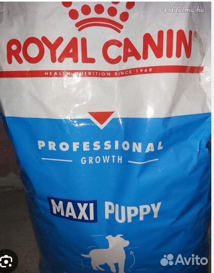 Корм для собак royal canin