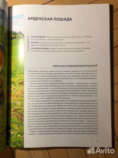 Невероятные лошади Наталья Франк