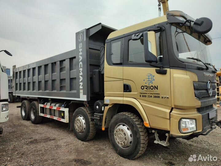 Shacman (Shaanxi) SX33186T366, 2021