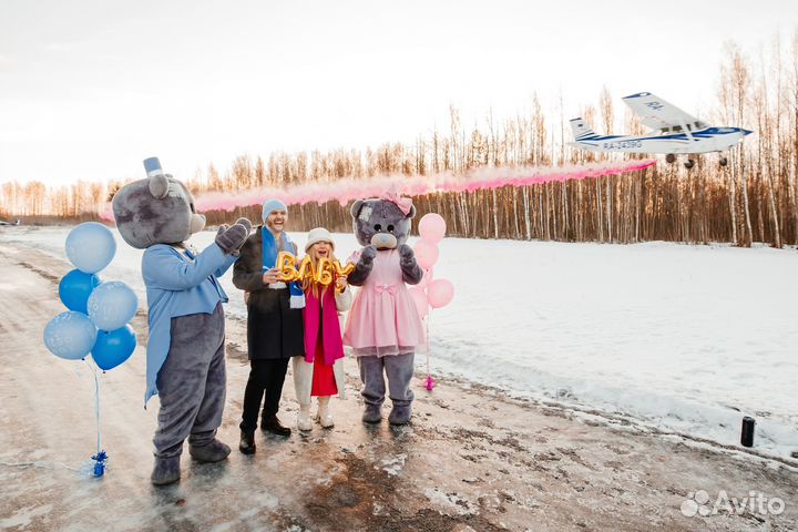 Гендер пати с самолётом в Москве