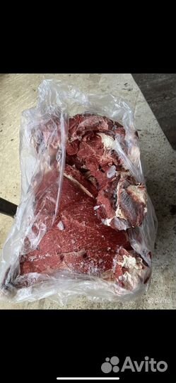 Мясо говядина для собак без костей