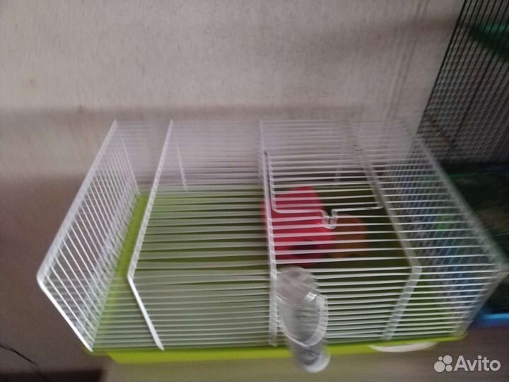 Клетка для грызунов