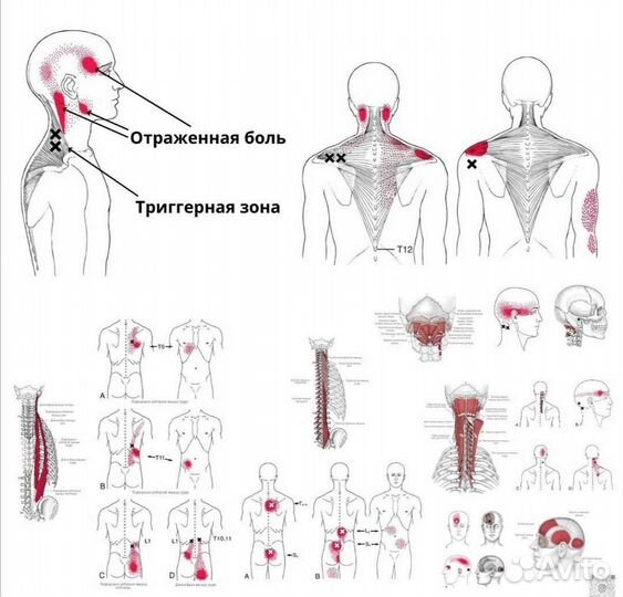 Лечебный массаж. Метрогородок. Салон