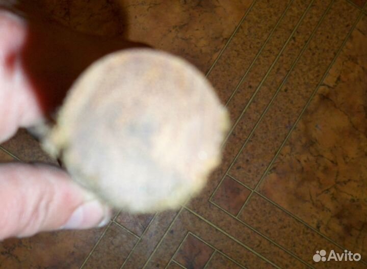 Текстолит пт (стержни) длина 545мм диаметр 25мм