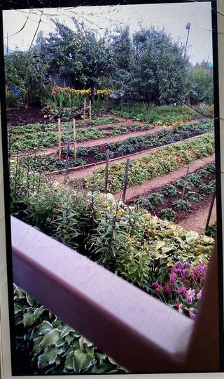 Дача 25 м² на участке 11 сот.