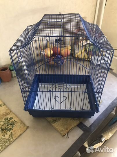 Клетка для попугая