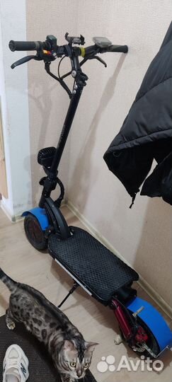 Электросамокат kugoo g booster