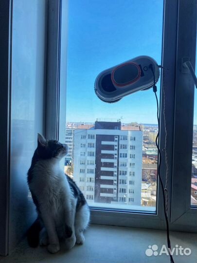 Аренда робот мойщик окон