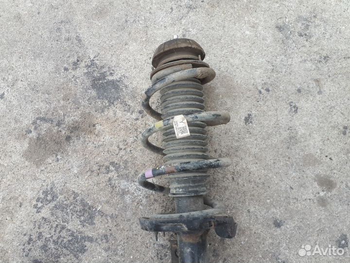 Амортизатор передний правый (в сборе) Kia Rio