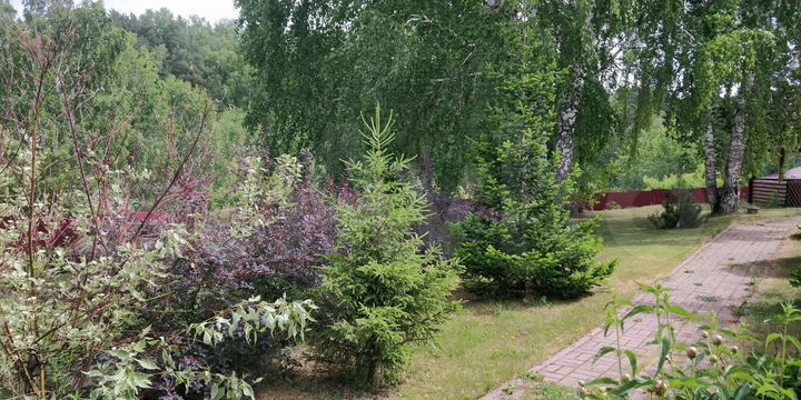 Участок 11,8 сот. (СНТ, ДНП)