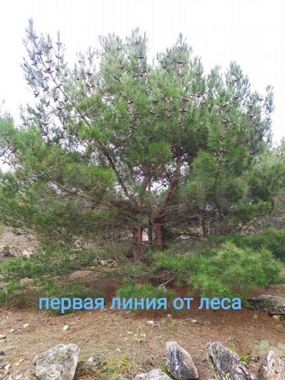 Участок 4 сот. (ИЖС)