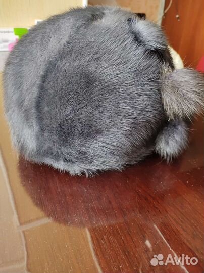 Шапка норковая женская бу