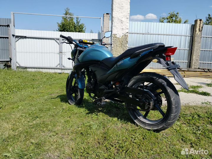 Stels Flex 250