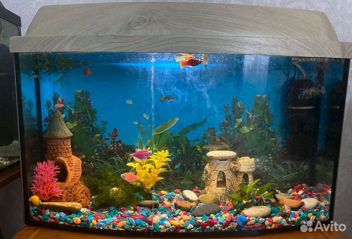 Аквариум с тумбой