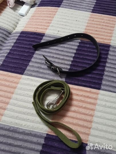 Ошейник и поводок